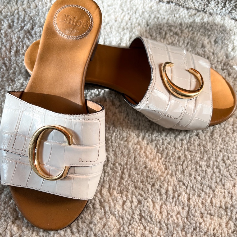Chloe slides